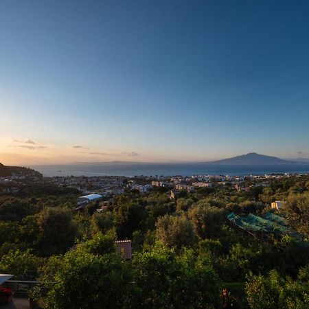 Sorrentovibes - Sea View Rooftop Apartment With Jacuzzi & Garden 外观 照片