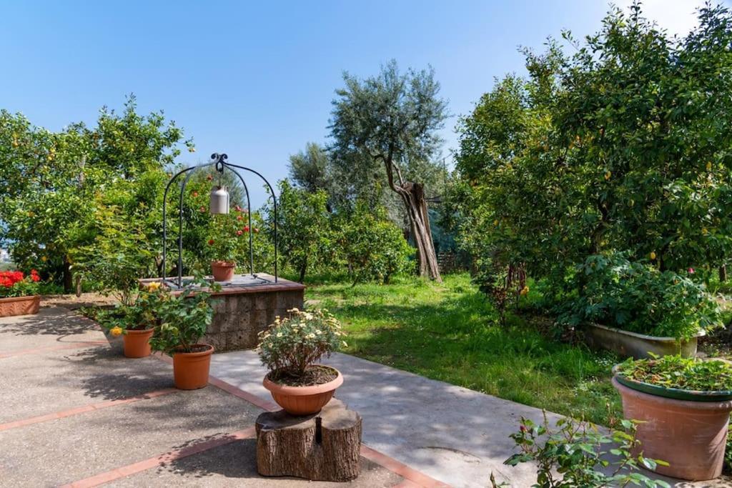 Sorrentovibes - Sea View Rooftop Apartment With Jacuzzi & Garden 外观 照片