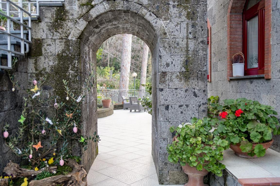 Sorrentovibes - Sea View Rooftop Apartment With Jacuzzi & Garden 外观 照片