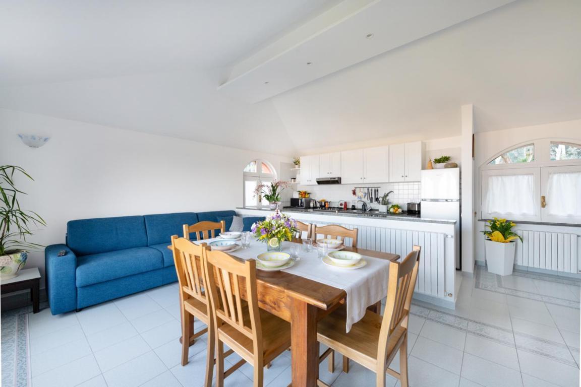 Sorrentovibes - Sea View Rooftop Apartment With Jacuzzi & Garden 外观 照片