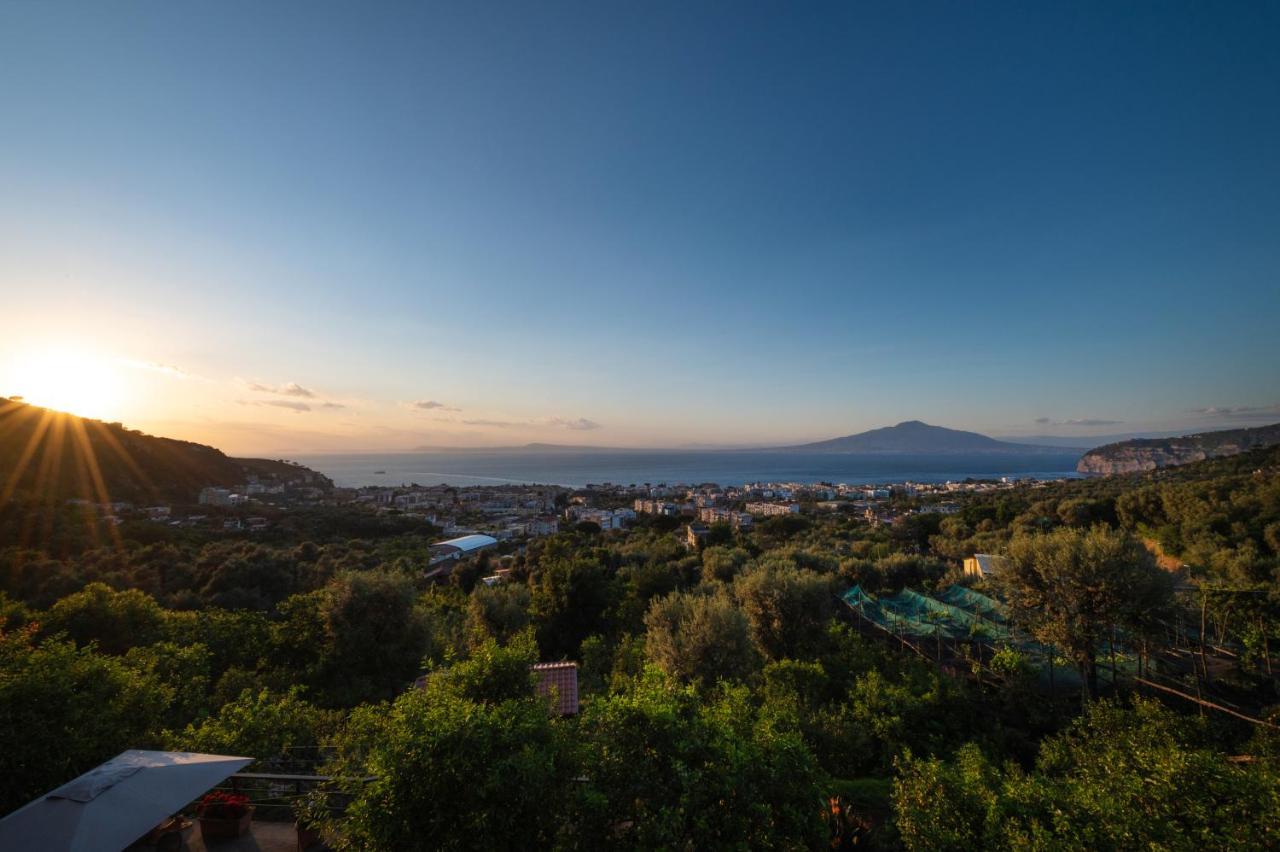 Sorrentovibes - Sea View Rooftop Apartment With Jacuzzi & Garden 外观 照片