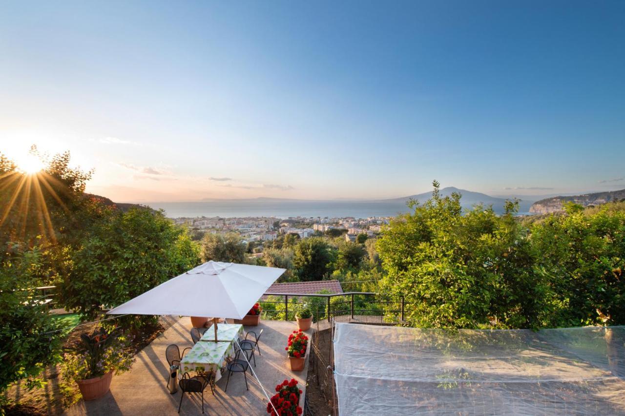 Sorrentovibes - Sea View Rooftop Apartment With Jacuzzi & Garden 外观 照片